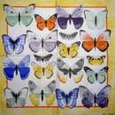 187 Butterflies - 3-ply - Eva Logell